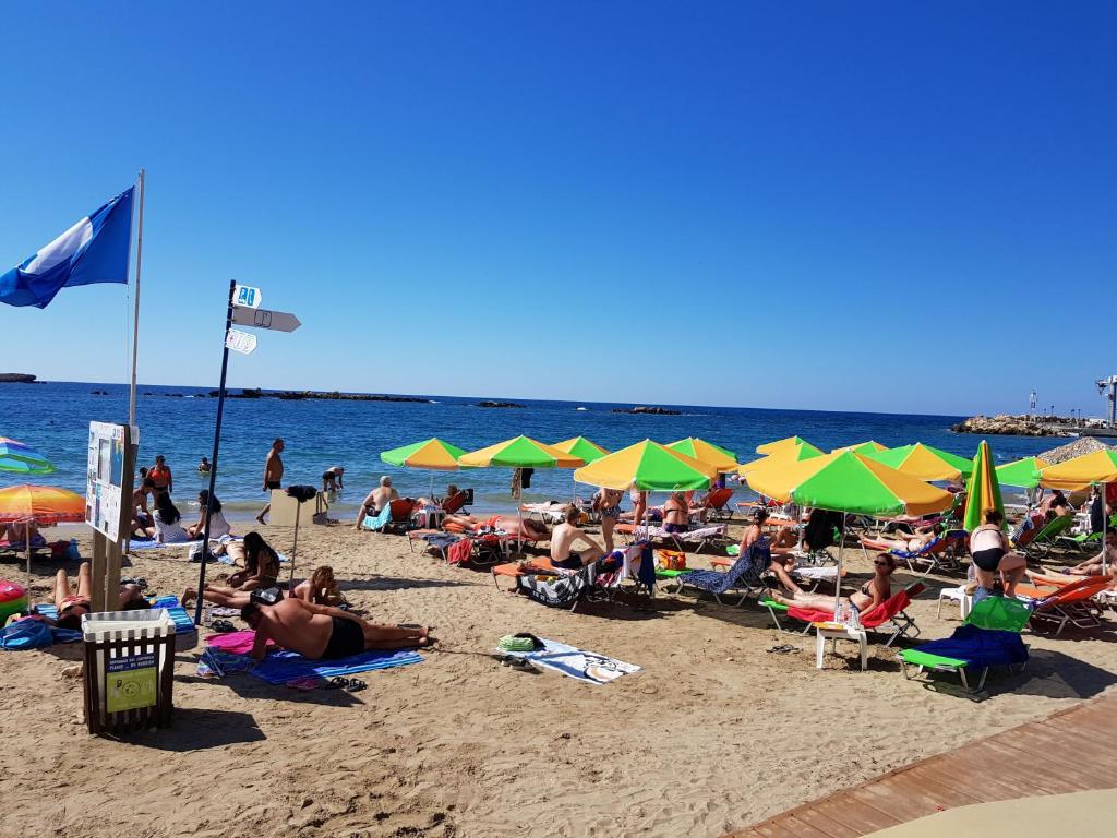 Palm Luxury Studios room 2